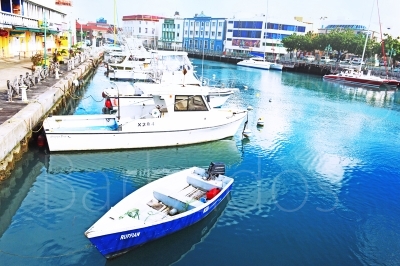 Careenage Bridge View