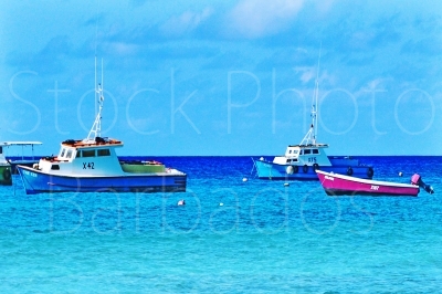 Fishing Boats