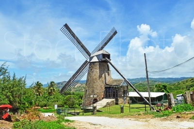 Windmill Back View